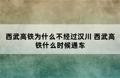 西武高铁为什么不经过汉川 西武高铁什么时候通车